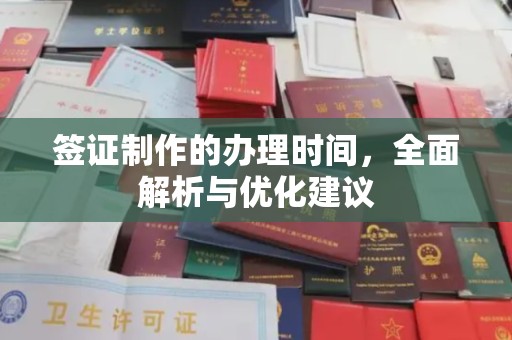 炎陵签证制作的办理时间，全面解析与优化建议